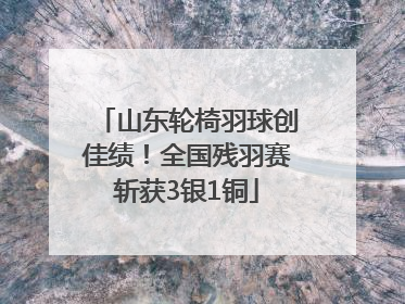 山东轮椅羽球创佳绩！全国残羽赛斩获3银1铜
