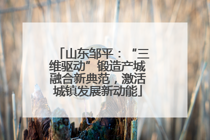 山东邹平：“三维驱动”锻造产城融合新典范，激活城镇发展新动能