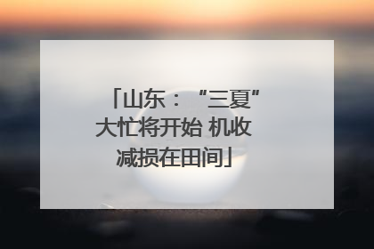 山东：“三夏”大忙将开始 机收减损在田间