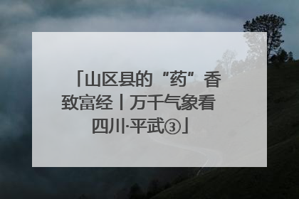 山区县的“药”香致富经丨万千气象看四川·平武③