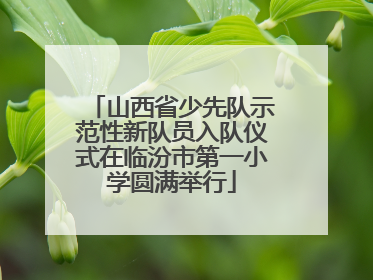 山西省少先队示范性新队员入队仪式在临汾市第一小学圆满举行