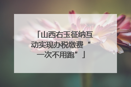 山西右玉征纳互动实现办税缴费“一次不用跑”
