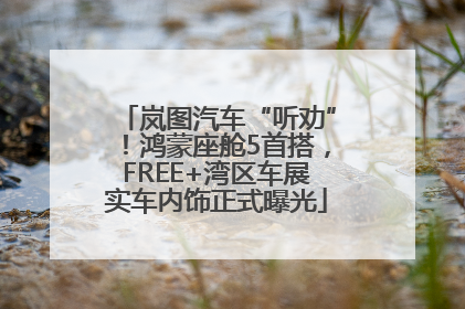 岚图汽车“听劝”！鸿蒙座舱5首搭，FREE+湾区车展实车内饰正式曝光
