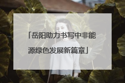 岳阳助力书写中非能源绿色发展新篇章