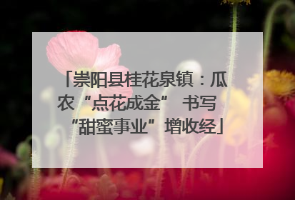 崇阳县桂花泉镇：瓜农“点花成金” 书写“甜蜜事业”增收经
