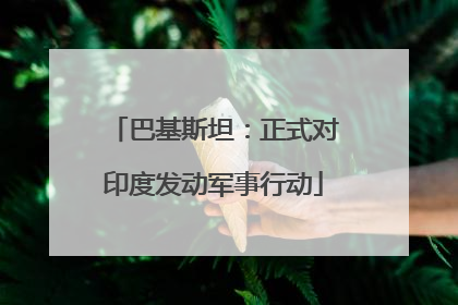 巴基斯坦：正式对印度发动军事行动