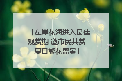 左岸花海进入最佳观赏期 邀市民共赏夏日繁花盛景