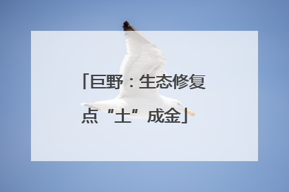 巨野：生态修复点“土”成金