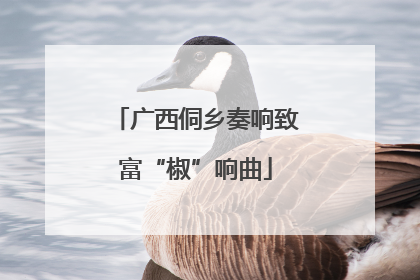 广西侗乡奏响致富“椒”响曲