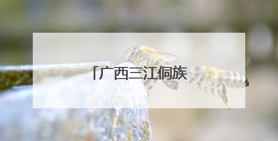 广西三江侗族河歌节展风情
