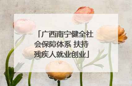 广西南宁健全社会保障体系 扶持残疾人就业创业