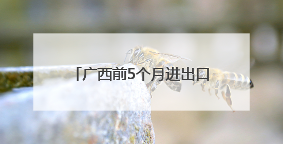 广西前5个月进出口3236.4亿元 同比增长14.8%