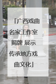 广西戏曲名家工作室揭牌 展示传承地方戏曲文化
