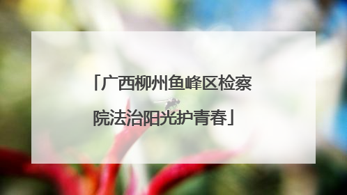 广西柳州鱼峰区检察院法治阳光护青春