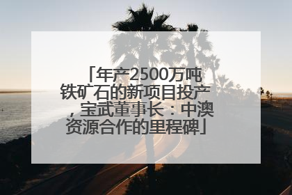 年产2500万吨铁矿石的新项目投产，宝武董事长：中澳资源合作的里程碑