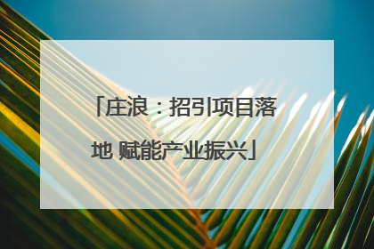 庄浪：招引项目落地 赋能产业振兴