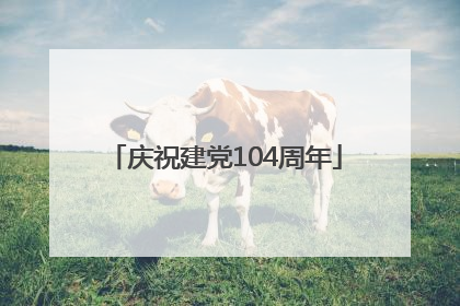 庆祝建党104周年