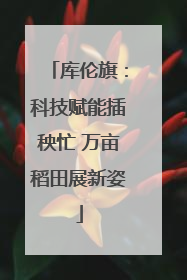 库伦旗：科技赋能插秧忙 万亩稻田展新姿