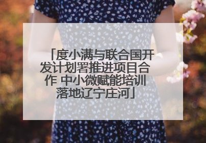 度小满与联合国开发计划署推进项目合作 中小微赋能培训落地辽宁庄河