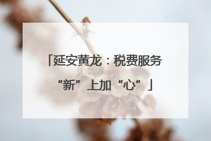 延安黄龙：税费服务“新”上加“心”