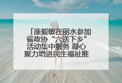 廉毅敏在丽水参加省政协“六送下乡”活动集中服务 凝心聚力增进民生福祉推进共同富裕