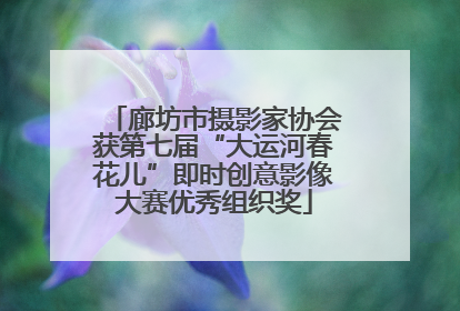 廊坊市摄影家协会获第七届“大运河春花儿”即时创意影像大赛优秀组织奖
