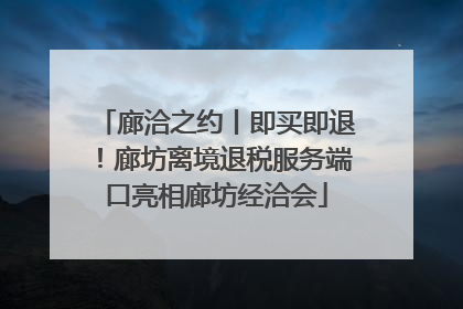 廊洽之约丨即买即退！廊坊离境退税服务端口亮相廊坊经洽会