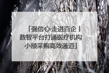 强信心·走进百企丨数智平台打通医疗机构小额采购高效通道