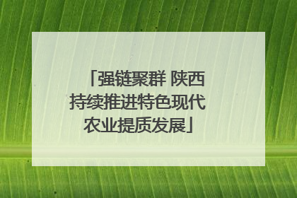 强链聚群 陕西持续推进特色现代农业提质发展