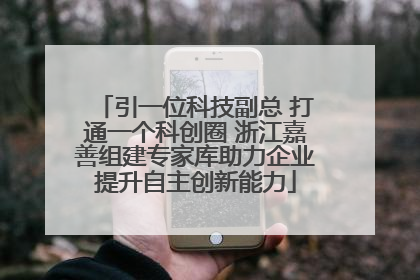 引一位科技副总 打通一个科创圈 浙江嘉善组建专家库助力企业提升自主创新能力