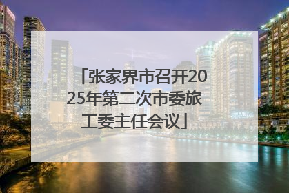 张家界市召开2025年第二次市委旅工委主任会议