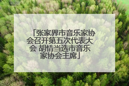 张家界市音乐家协会召开第五次代表大会 胡情当选市音乐家协会主席