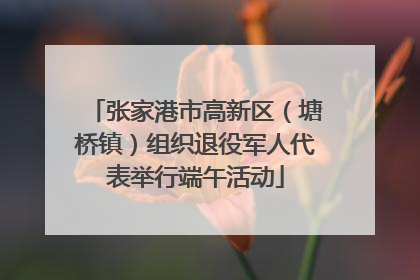 张家港市高新区（塘桥镇）组织退役军人代表举行端午活动