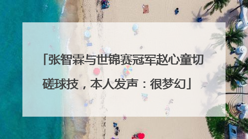 张智霖与世锦赛冠军赵心童切磋球技，本人发声：很梦幻