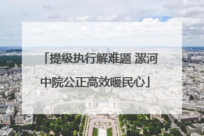 提级执行解难题 漯河中院公正高效暖民心