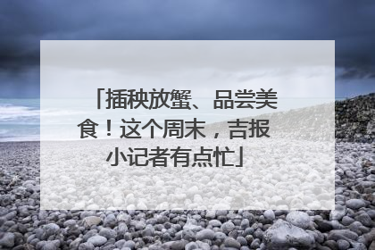 插秧放蟹、品尝美食！这个周末，吉报小记者有点忙