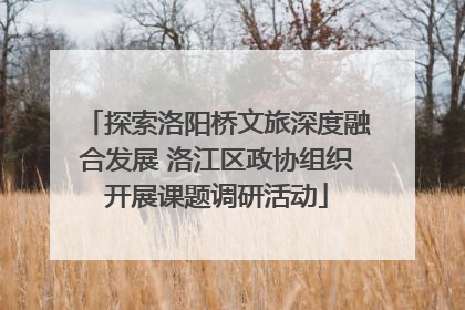 探索洛阳桥文旅深度融合发展 洛江区政协组织开展课题调研活动