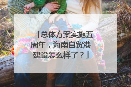 总体方案实施五周年，海南自贸港建设怎么样了？
