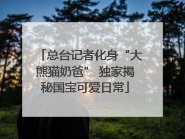 总台记者化身“大熊猫奶爸” 独家揭秘国宝可爱日常