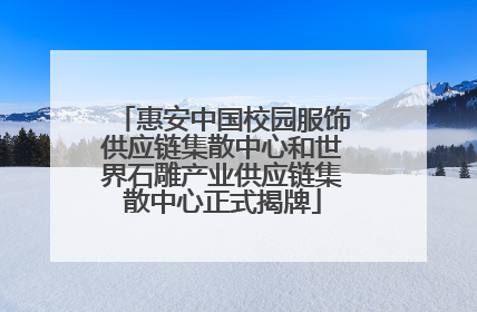惠安中国校园服饰供应链集散中心和世界石雕产业供应链集散中心正式揭牌
