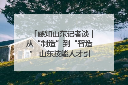 感知山东记者谈｜从“制造”到“智造” 山东技能人才引领产业升级
