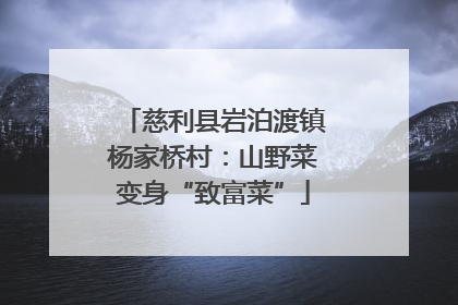 慈利县岩泊渡镇杨家桥村：山野菜变身“致富菜”