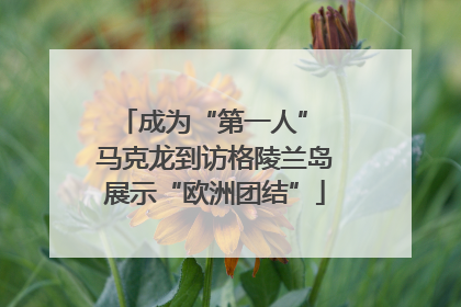 成为“第一人” 马克龙到访格陵兰岛展示“欧洲团结”