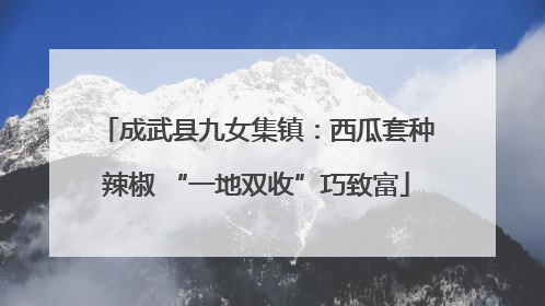成武县九女集镇：西瓜套种辣椒 “一地双收”巧致富