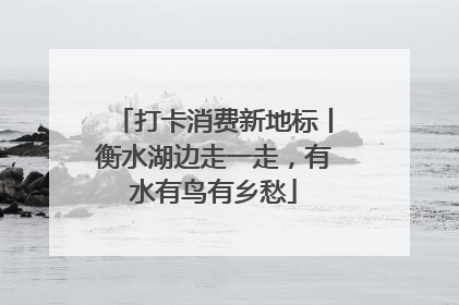 打卡消费新地标丨衡水湖边走一走，有水有鸟有乡愁