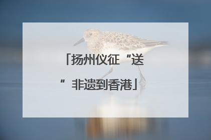 扬州仪征“送”非遗到香港