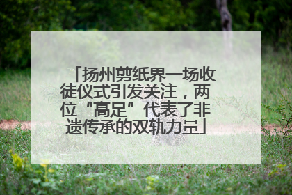 扬州剪纸界一场收徒仪式引发关注，两位“高足”代表了非遗传承的双轨力量