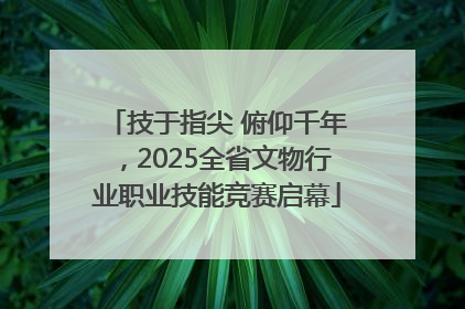 技于指尖 俯仰千年，2025全省文物行业职业技能竞赛启幕