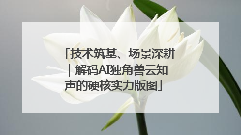 技术筑基、场景深耕｜解码AI独角兽云知声的硬核实力版图