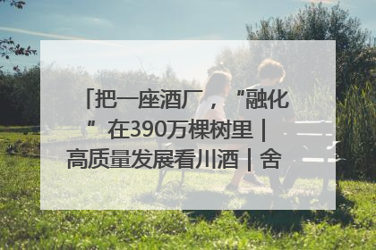 把一座酒厂，“融化”在390万棵树里｜高质量发展看川酒｜舍得酒｜舍得酒业｜舍得老酒｜沱牌酒
